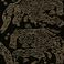 Evolution 6 BWE06504