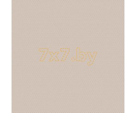 Evolution 6 BWE06601