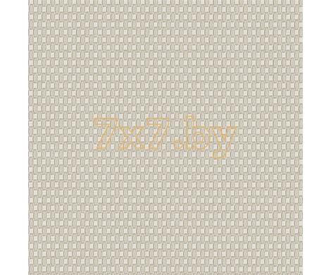 Evolution 6 BWE06704