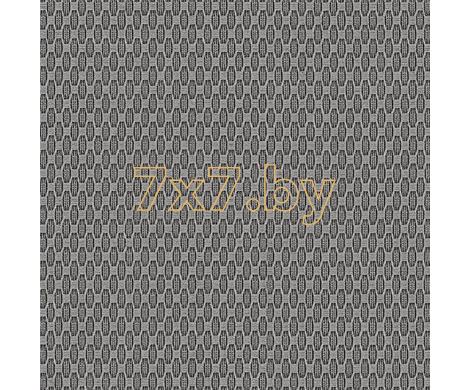 Evolution 6 BWE06706