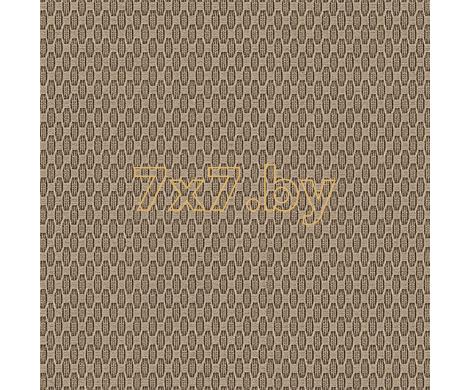 Evolution 6 BWE06708