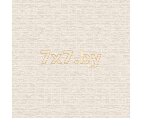Evolution 6 BWE06801