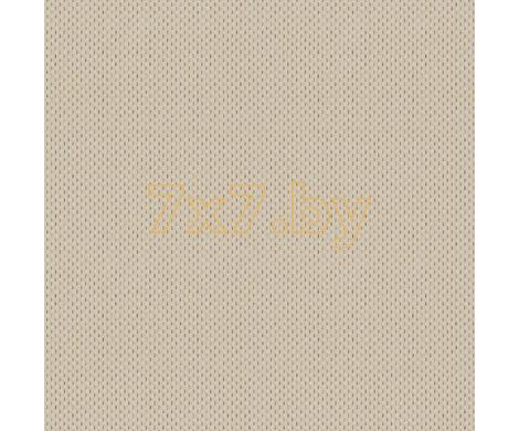 Evolution 6 BWE06901