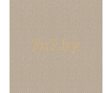 Evolution 6 BWE06902