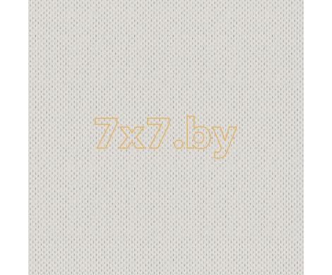 Evolution 6 BWE06903