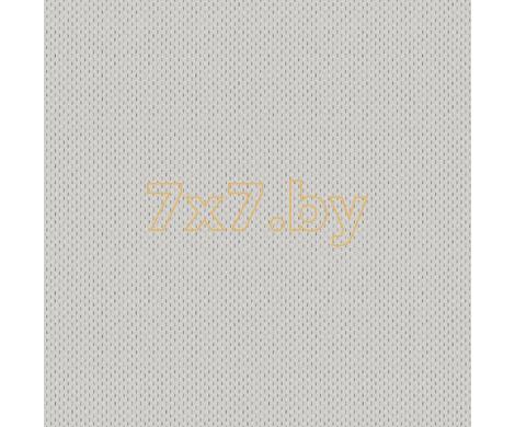 Evolution 6 BWE06904