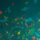 W0200-02