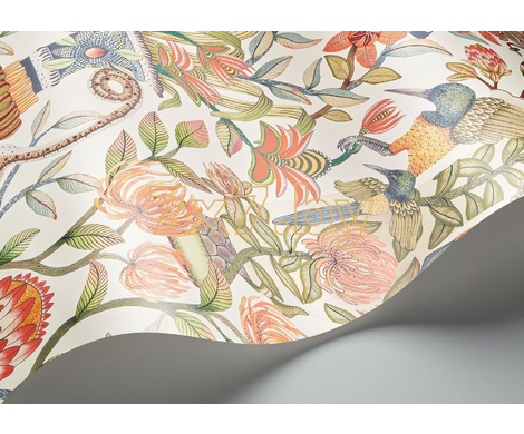 Ardmore - Jabula Protea Garden 119/10043