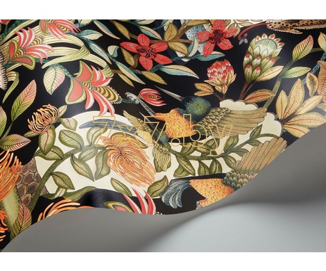 Ardmore - Jabula Protea Garden 119/10044