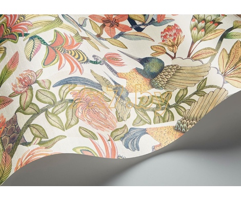 Ardmore - Jabula Protea Garden 119/10045