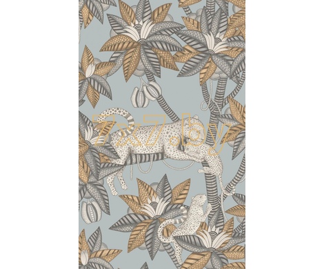 Ardmore - Jabula Satara 119/3012