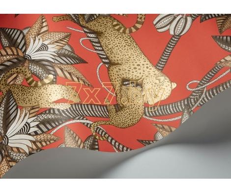 Ardmore - Jabula Satara 119/3014