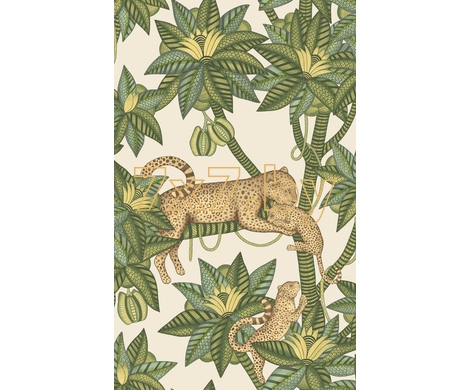 Ardmore - Jabula Satara 119/3015