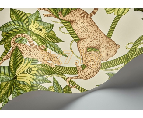 Ardmore - Jabula Satara 119/3015