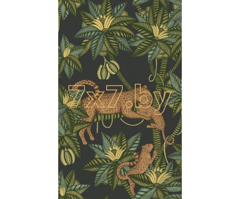 Ardmore - Jabula Satara 119/3016