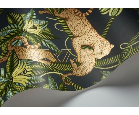 Ardmore - Jabula Satara 119/3016