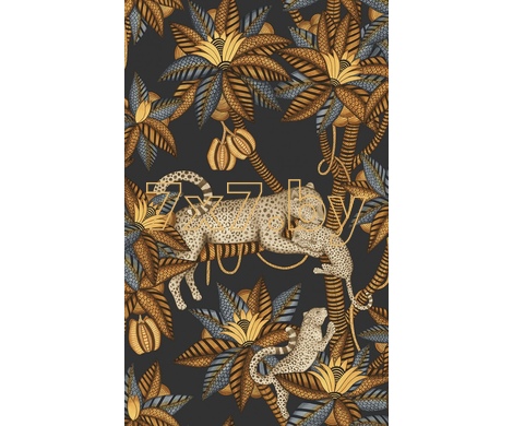 Ardmore - Jabula Satara 119/3017