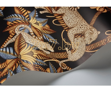 Ardmore - Jabula Satara 119/3017