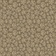 Savanna Shell 119/4020