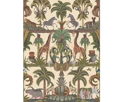 Ardmore - Jabula Afrika Kingdom 119/5026