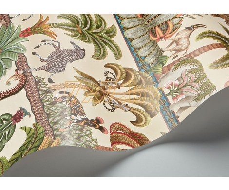 Ardmore - Jabula Afrika Kingdom 119/5026