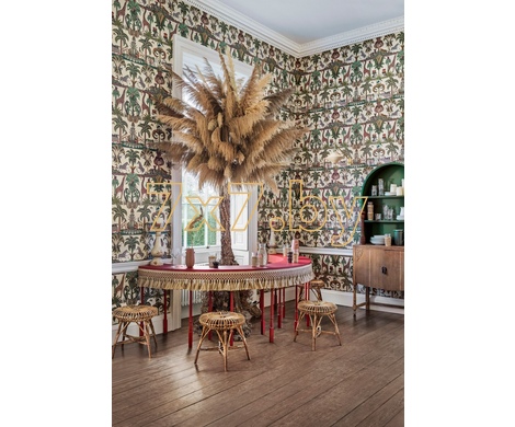 Ardmore - Jabula Afrika Kingdom 119/5026