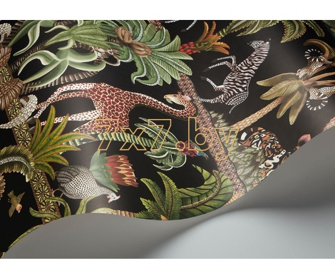 Ardmore - Jabula Afrika Kingdom 119/5027