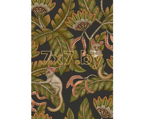 Ardmore - Jabula Bush Baby 119/7031