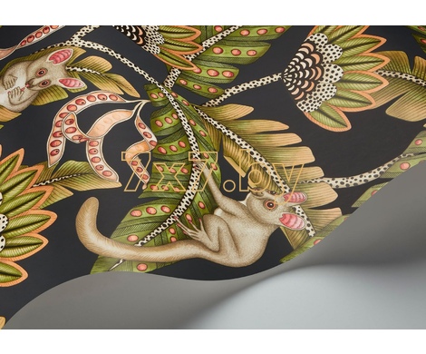 Ardmore - Jabula Bush Baby 119/7031