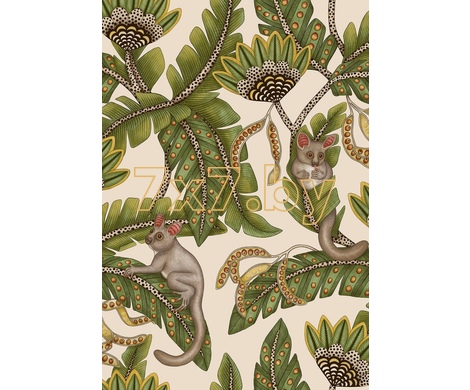 Ardmore - Jabula Bush Baby 119/7032