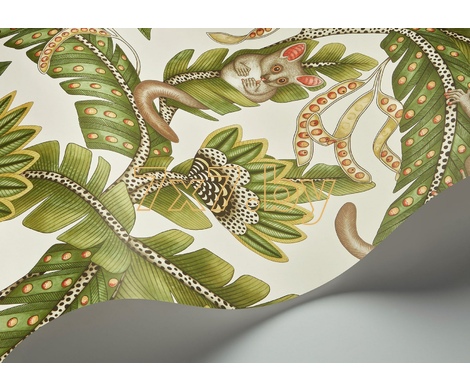 Ardmore - Jabula Bush Baby 119/7032