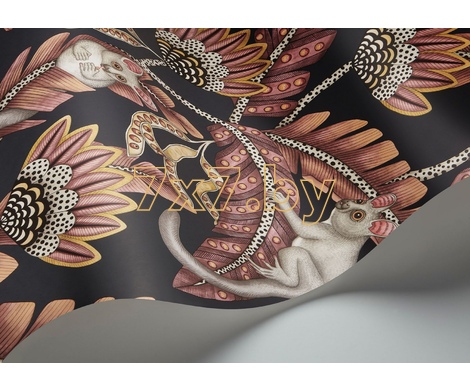 Ardmore - Jabula Bush Baby 119/7033