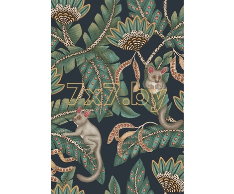 Ardmore - Jabula Bush Baby 119/7034