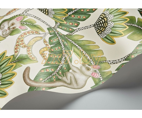 Ardmore - Jabula Bush Baby 119/7035