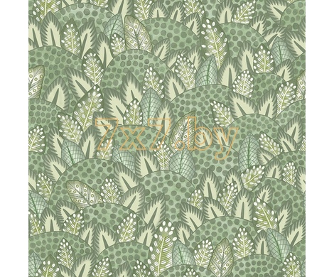 Ardmore - Jabula Zulu Terrain 119/9041