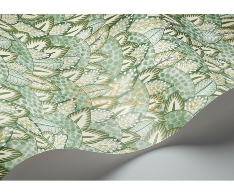 Ardmore - Jabula Zulu Terrain 119/9041