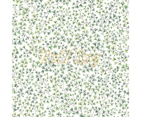 Botanical Botanica 115/6018