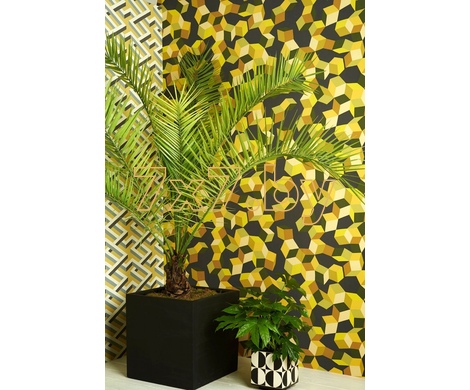 Geometric II 105/2012