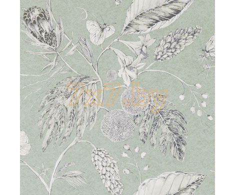 Purity Edit 111224 Amborella Wide Width Seaglass