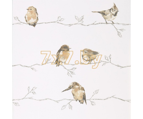 Purity Edit 111484 Persico Wide Width Neutral/Chalk