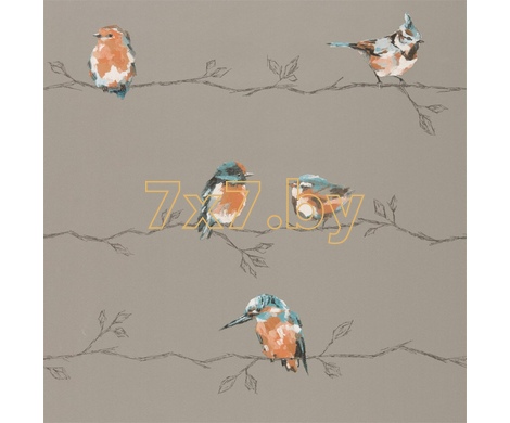 Purity Edit 111485 Persico Wide Width Tangerine/Duckegg