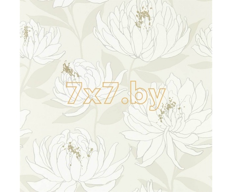 Salinas 112131 Sebal Glacier/Silver