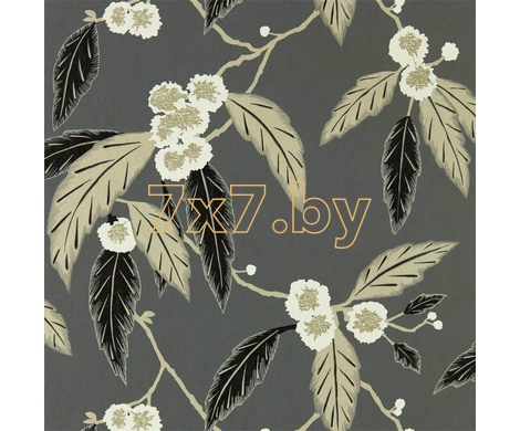 Salinas 112136 Coppice Wide Width Ebony/Putty/Snow