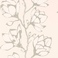 Salinas 112145 Lustica Powder