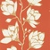 112146 Lustica Russett