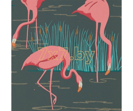 Salinas 112156 Salinas Ebony/Coral/Lagoon