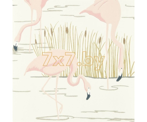 Salinas 112157 Salinas Champagne / Rose / Gold