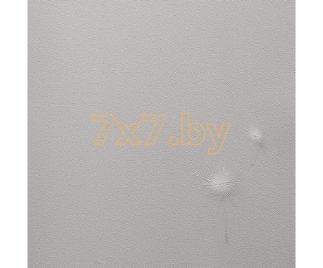 Spectrum Trend 54368-2