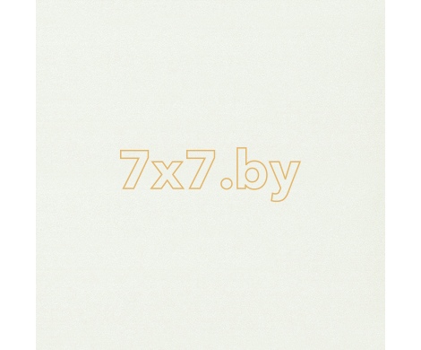 Spectrum Max 54357-1