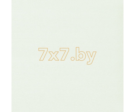 Spectrum Max 54357-5